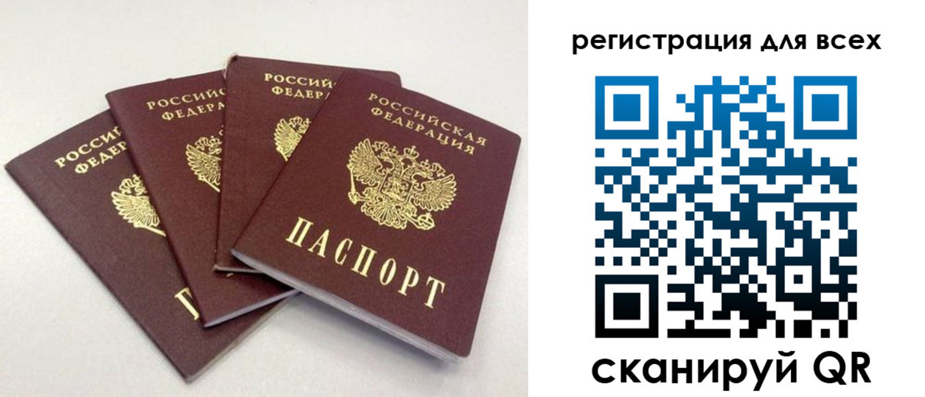 прописка законно в Кольчугино